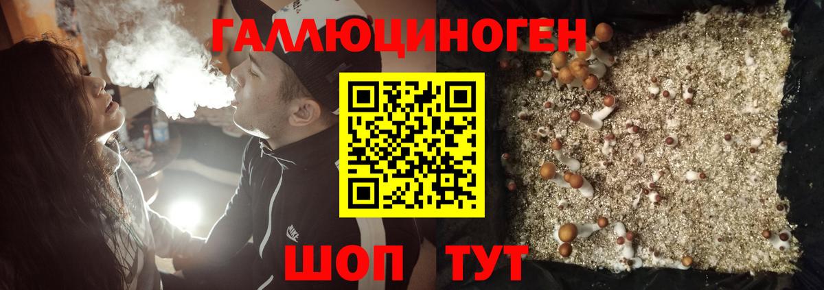 Черногорск  Галлюциногенные грибы MAGIC MUSHROOMS  Галлюциногенные грибы ЛСД  Вход с VPN 